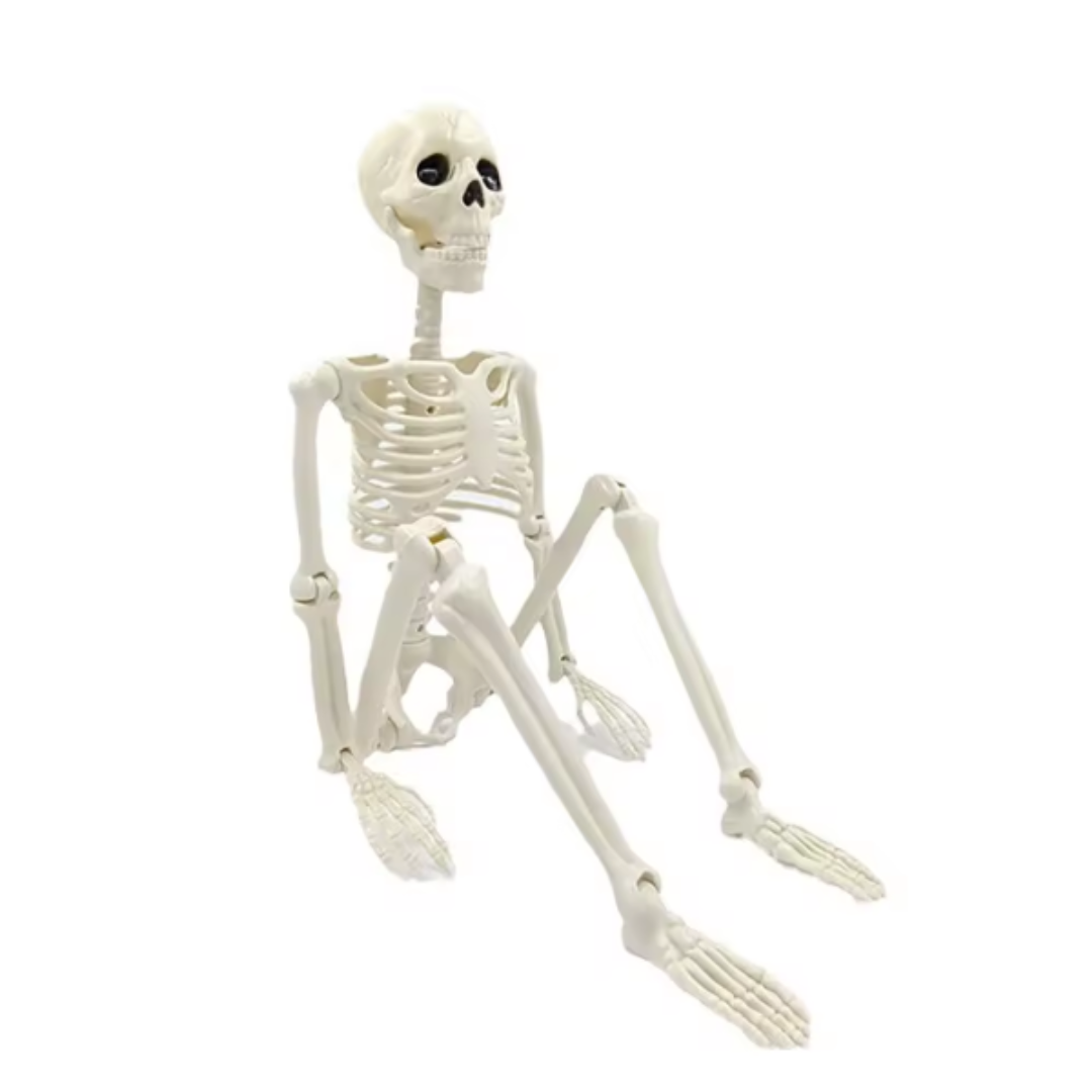 Skeleton Halloween decoration