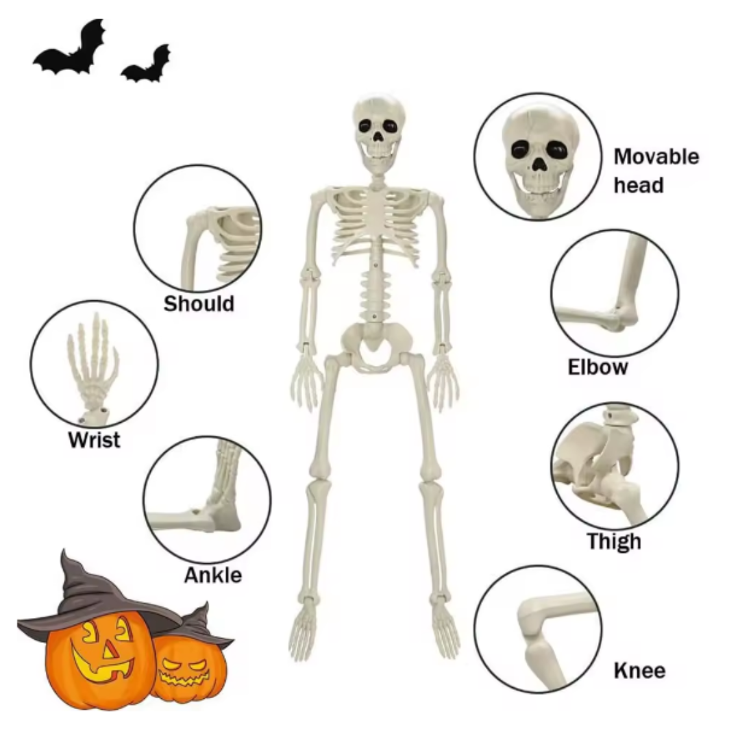 Skeleton Halloween decoration